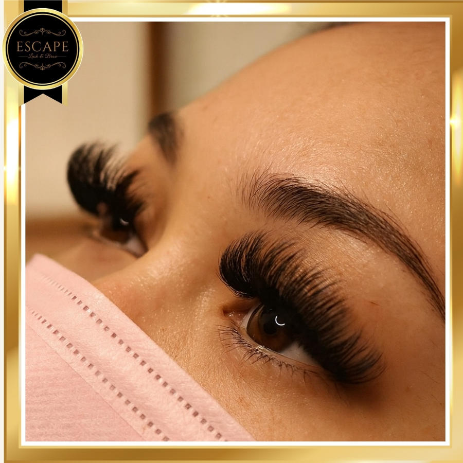 Escape Eyelash & Brow Spa